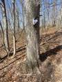 1020-C70 Hunting Run Road - Photo 5