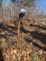 1020-C70 Hunting Run Road - Photo 8