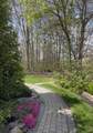 7247 Drucilla Street - Photo 2