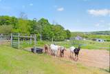 23783 Caves Road - Photo 38