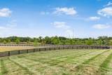 8340 Canopy Glen Drive - Photo 19