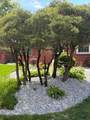 4777-4775 Nugent Drive - Photo 4