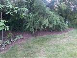 7067 Rieber Street - Photo 62