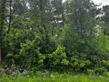 0 Lower Fredericktown Amity Road - Photo 4