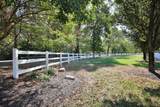 1803 Canopy Lane - Photo 38