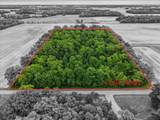 15762 Fish-Daum Road - Photo 57