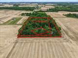 15762 Fish-Daum Road - Photo 62