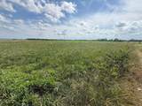 498 Junk Road - Photo 5