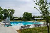 7551 Ashlord Court - Photo 46