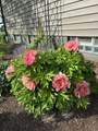 10551 Hayden Run Road - Photo 28