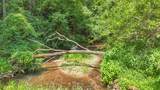 4161 Hamburg Road - Photo 69