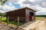 2354 County Road 170 - Photo 54