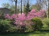 8849 Indian Mound Road - Photo 62