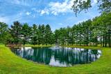 3375 Sitterley Road - Photo 15