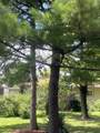 1943 Greensboro Drive - Photo 48