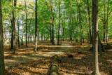 8891 Brock Road - Photo 47