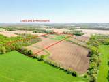 8381 Horn Road - Photo 12