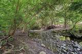 525 Hempstead Road - Photo 157