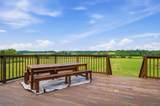 27611 Kime Holderman Road - Photo 76