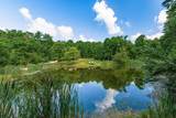 36203 Geiger Road - Photo 33