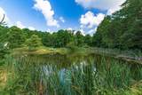 36203 Geiger Road - Photo 34
