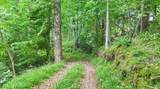 7525-Butcher Knife 95 Road - Photo 15