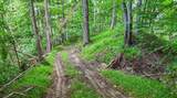 7525-Butcher Knife 95 Road - Photo 16