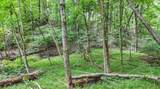 7525-Butcher Knife 95 Road - Photo 21