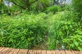 14823 Cleveland Road - Photo 50