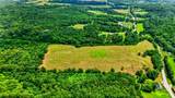 61829 U.S. Hwy 50 - Photo 10