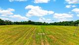 61829 U.S. Hwy 50 - Photo 5