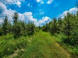7864 Morris Road - Photo 79