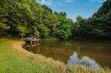 2981 Flag Dale Road - Photo 142