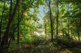 2981 Flag Dale Road - Photo 144
