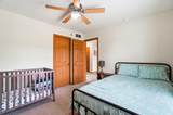 1500 Wild Turkey Drive - Photo 47
