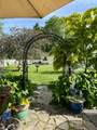 550 Allen Street - Photo 37