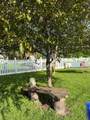 550 Allen Street - Photo 38