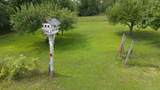 29655 Brush Run Road - Photo 33