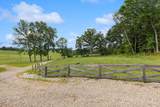 16265 Fredericktown Amity Road - Photo 48