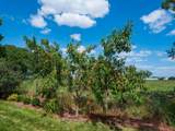 5714 Brinkley Court - Photo 47