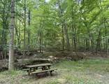 12761 Old Mansfield Road - Photo 4