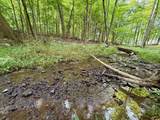12761 Old Mansfield Road - Photo 42