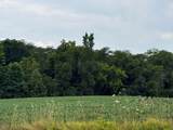 27775 Claibourne Road - Photo 7