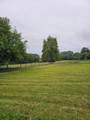 3977 Everett Road - Photo 41