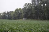 0 County Road 23 - Photo 2