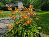 830 Harvest Lane Court - Photo 87