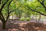 3516 Willow Grove - Photo 44