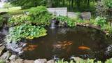 10925 Heimberger Road - Photo 62