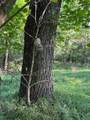 1844 Lundy's Lane Road - Photo 25