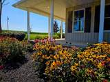 9960 Merchant Luttrell Road - Photo 4